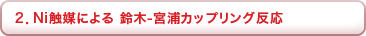 2. Ni�G�}�ɂ�� ���-�{�Y�J�b�v�����O����
