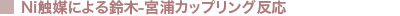 Ni�G�}�ɂ����-�{�Y�J�b�v�����O����